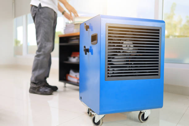 Best Mold Odor Removal Services  in Garrison, ND